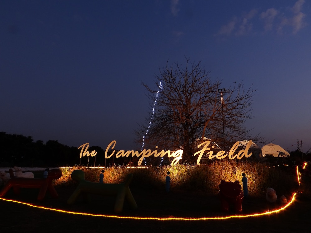 The Camping Field