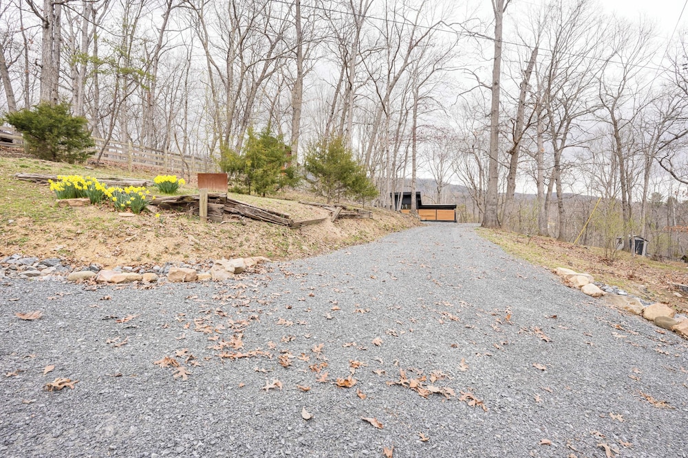 Luray 'black Walnut Cabin' on 2 Acres w/ Fire Pit!