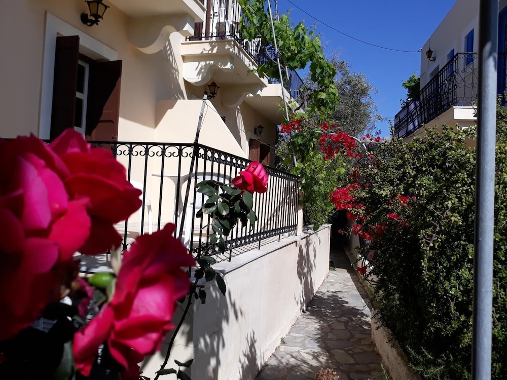 Photo 27