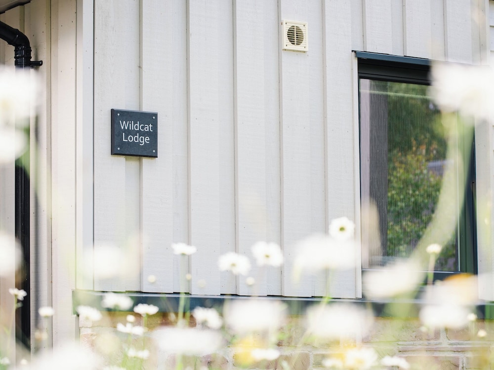 Wildcat Lodge