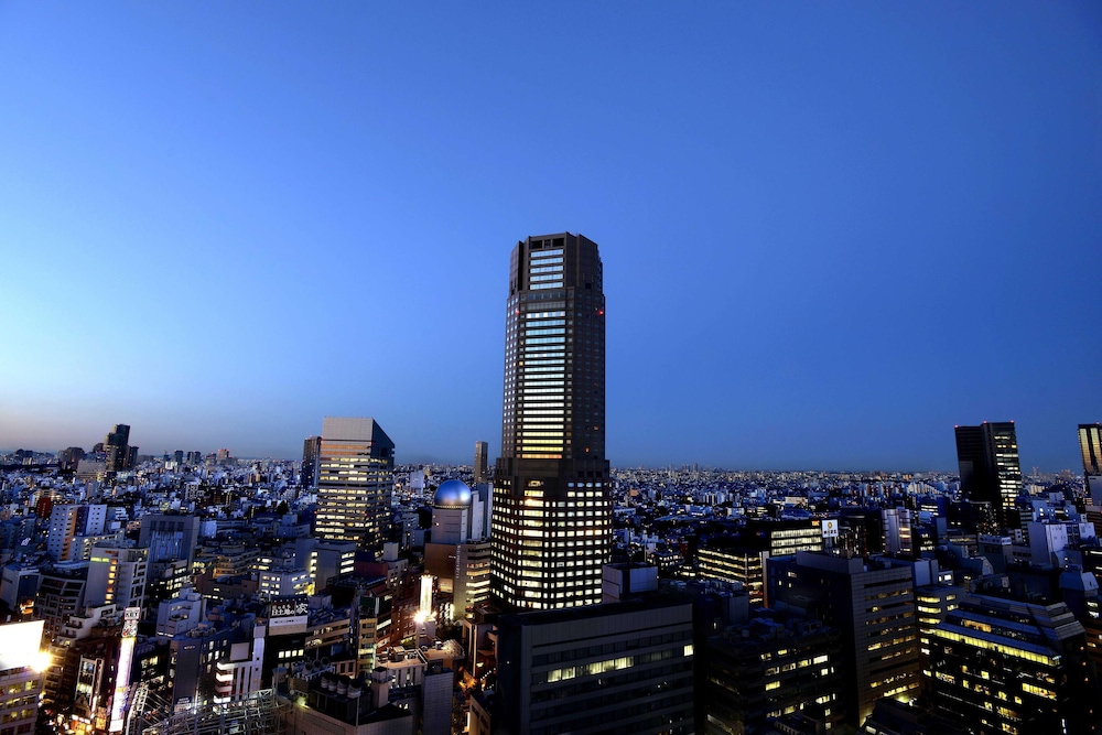 Cerulean Tower Tokyu Hotel-0