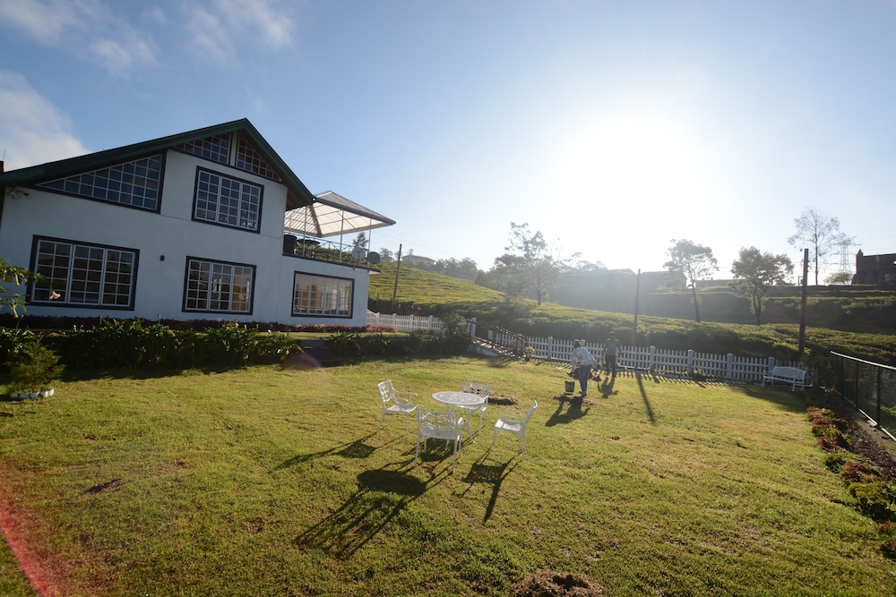 The Tea Garden