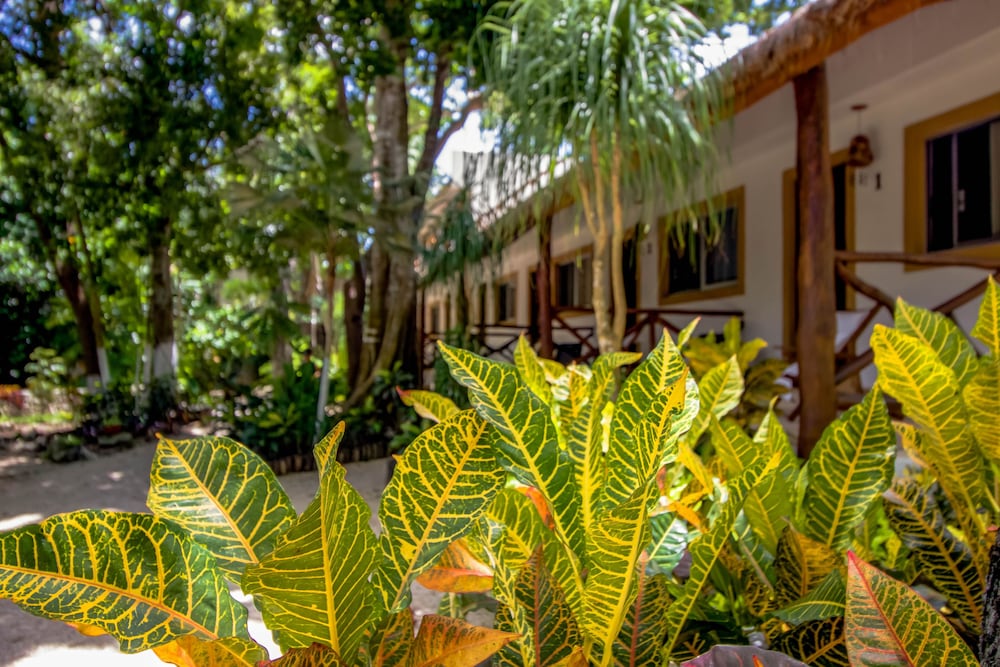 Hotel Tequila Cancun - Image 1