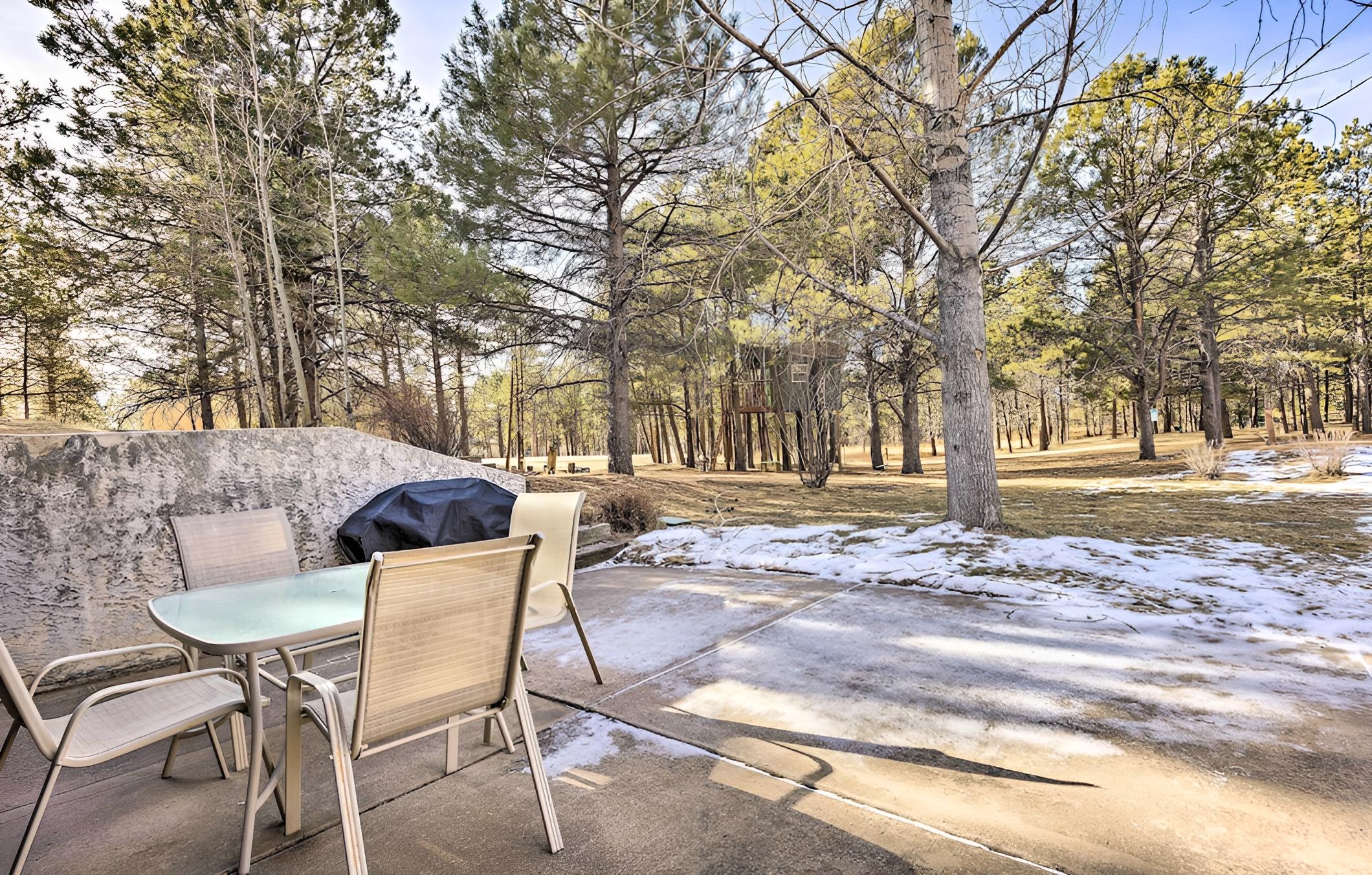 Cozy Apt - Near Usafa & Garden of the Gods! view 4