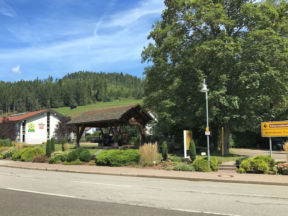 Photo 23