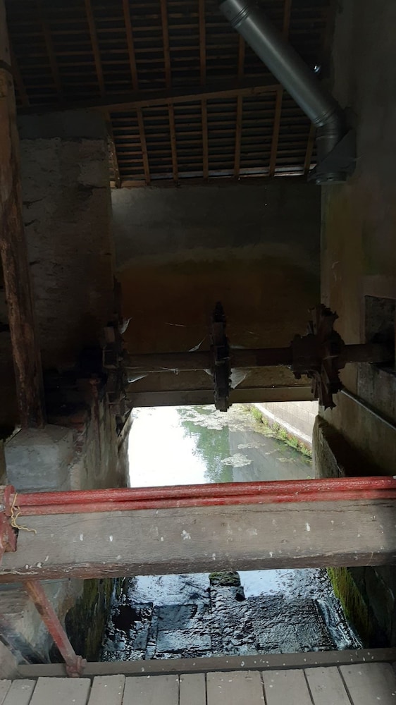 Photo 44