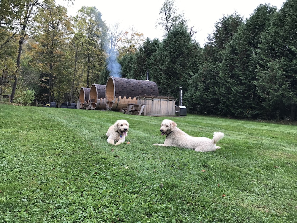 WilloBurke Boutique Inn & Nordic Spa