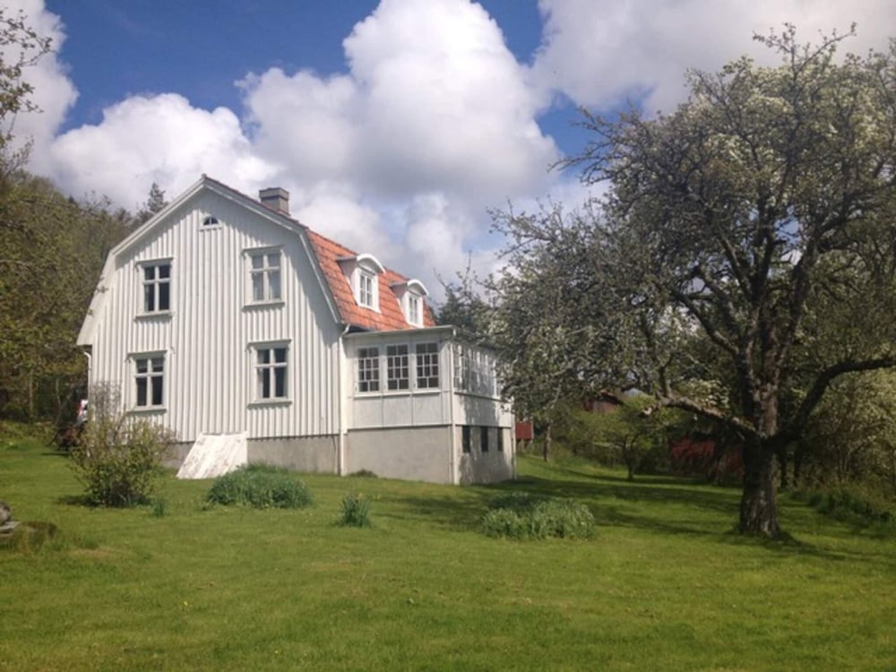 Photo 23
