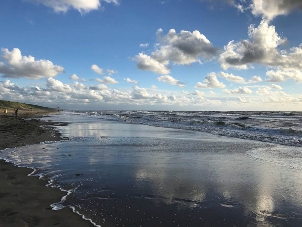 Relax in Your Holiday Home With Sauna, Near the Beach of Noordwijk view 3