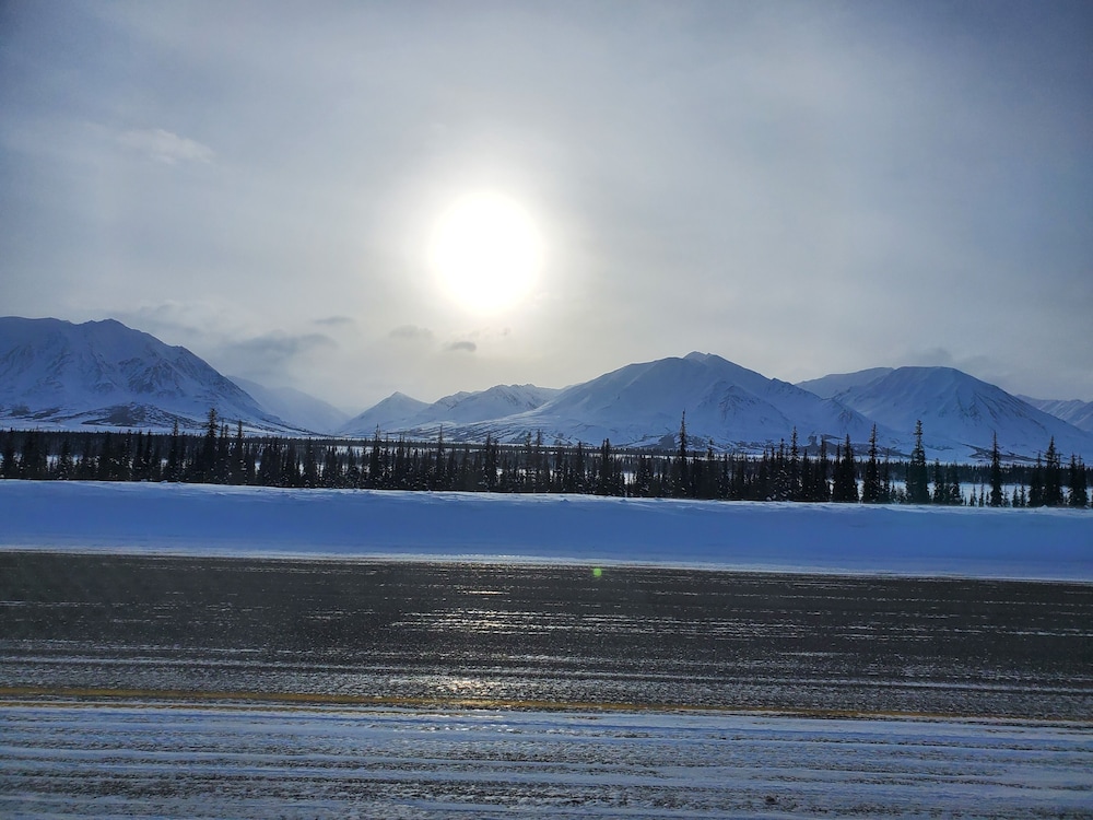 DENALI'S ALASKAN SPRUCE CABINS