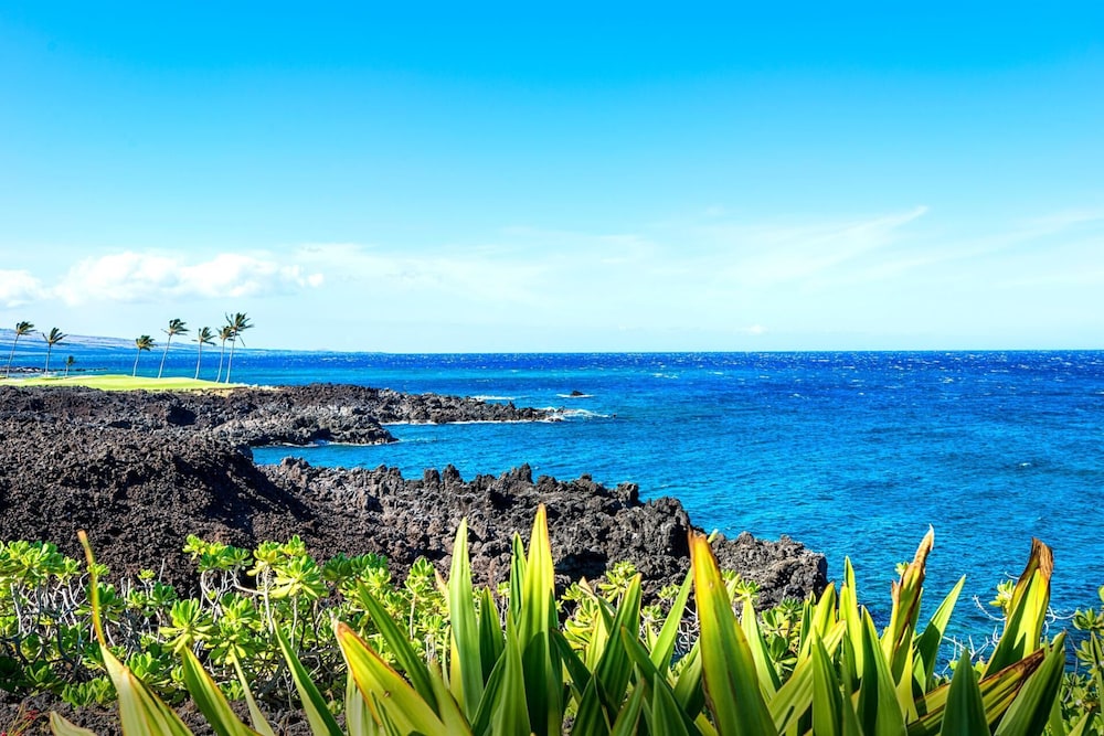Halii Kai Oceanfront KBM Resorts 2 Units, 4 Bedrooms Ml-2567