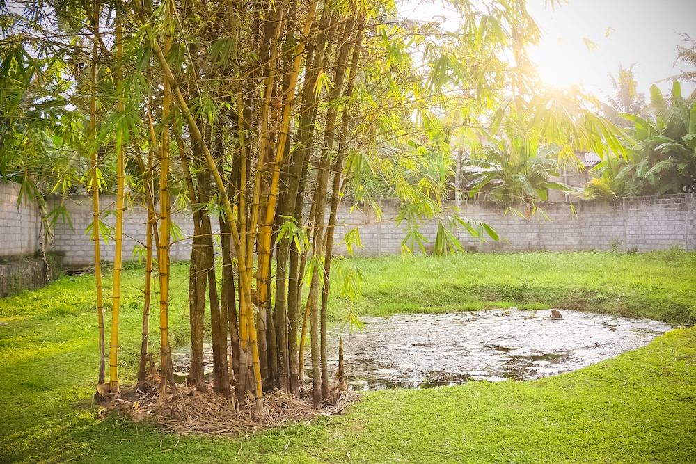 Horahena Farm Stay
