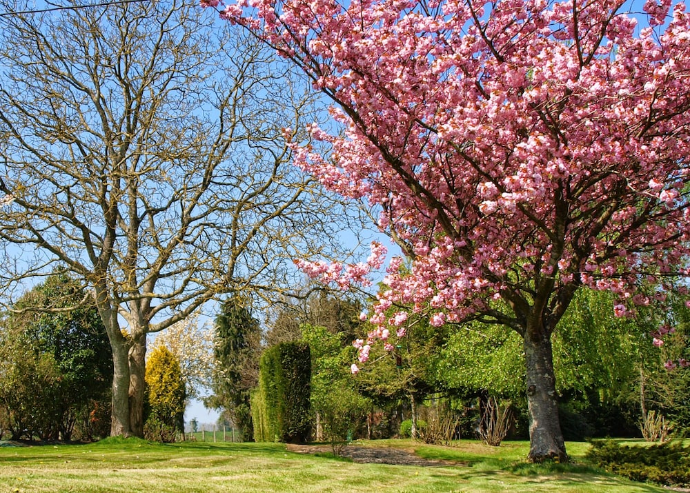 Normandy Getaways at Mis Harand