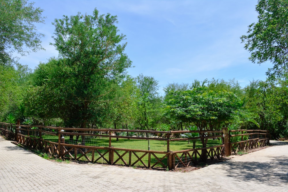 Beyond The Boma Boutique Guest