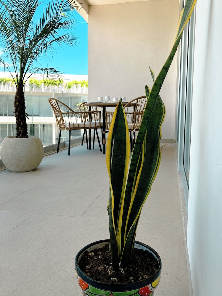 Stylish Playacar Condos w Balcony & Pool