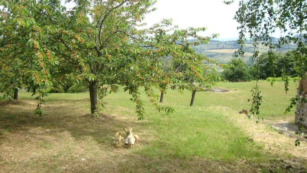 Residenza Collefiorito