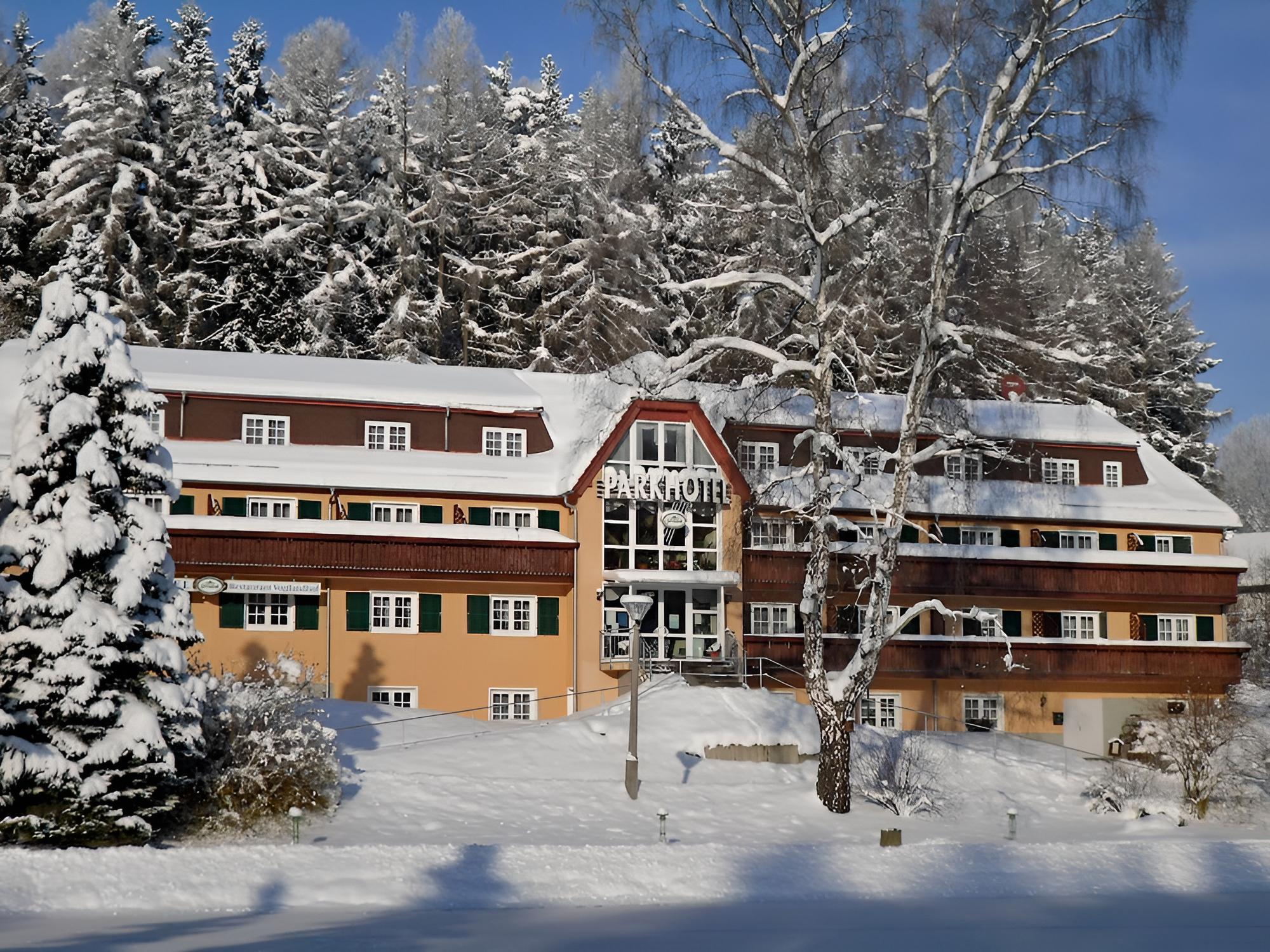 Parkhotel Bad Brambach - Property Image 10