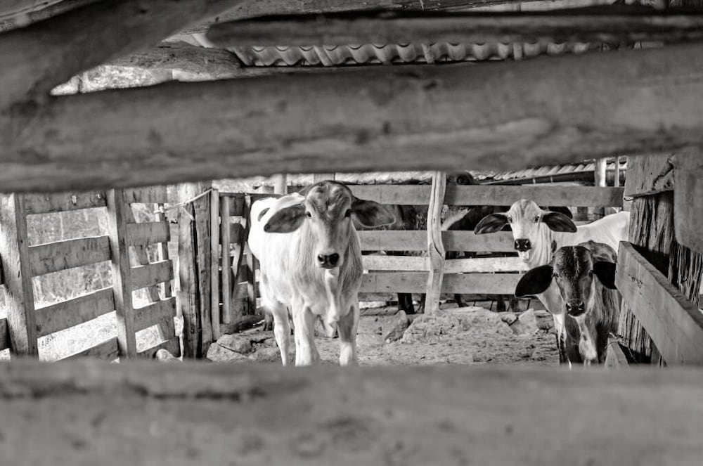 Pousada da Gruta