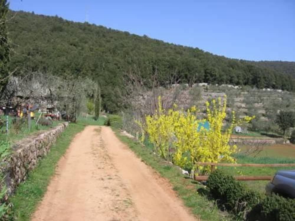 Biofarm Podere Ficareto view 5