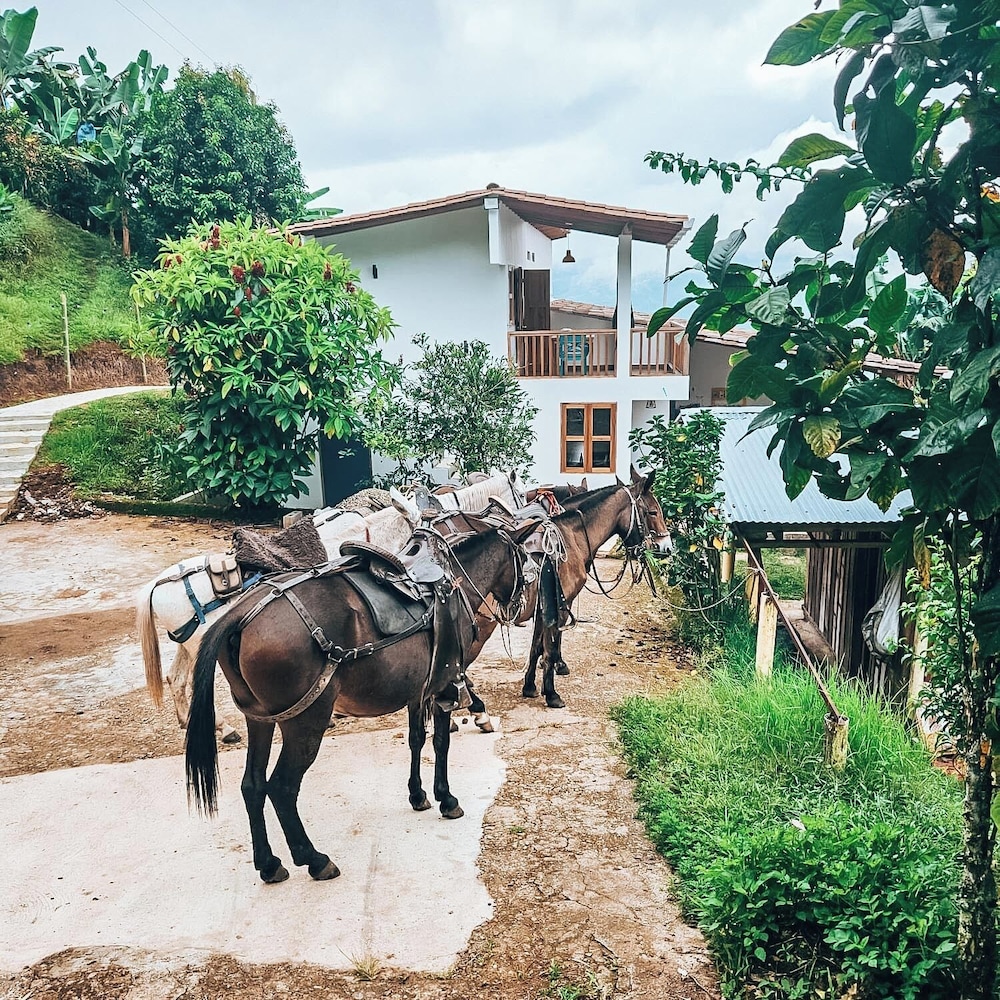 Glamping Jardín
