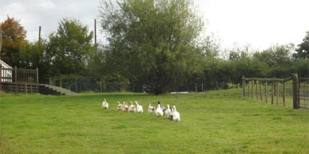 Accessible Friendly Farm Stay