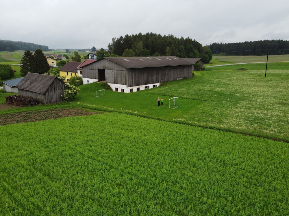 Bio-Bauernhof Hipp-Bruckner view 2