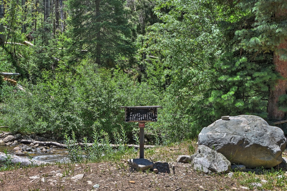Cozy Streamside Studio - 2 Mi to Taos Ski Resort! view 3
