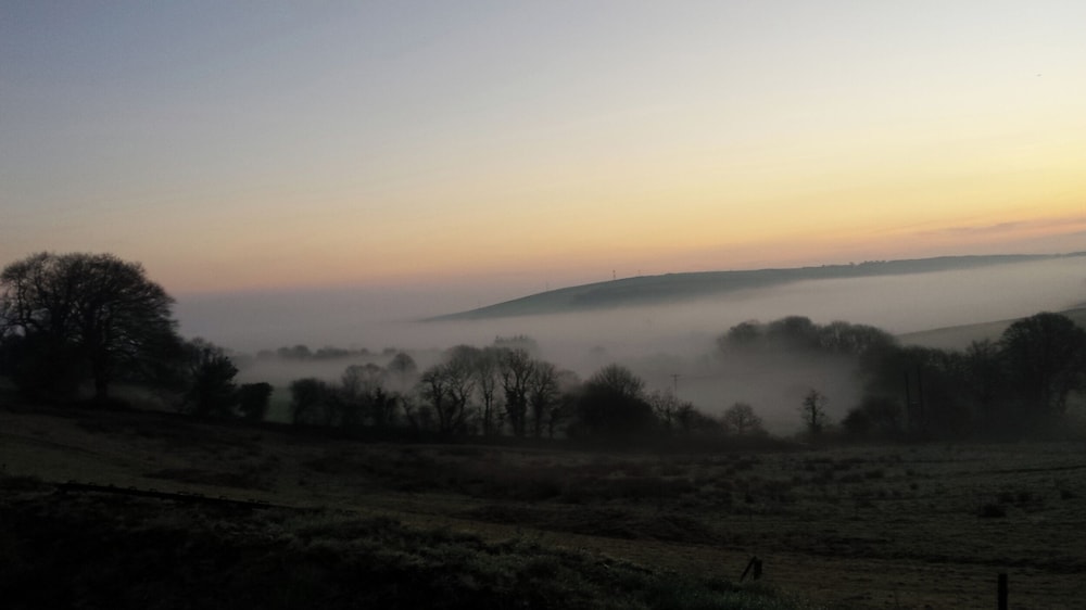 South Holm