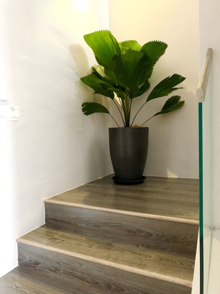 Minimalist Duplex at Sunway & PJ