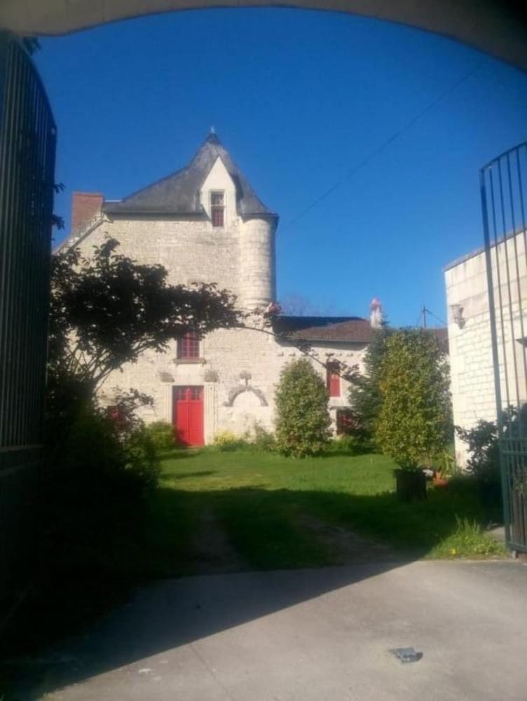 Photo 7