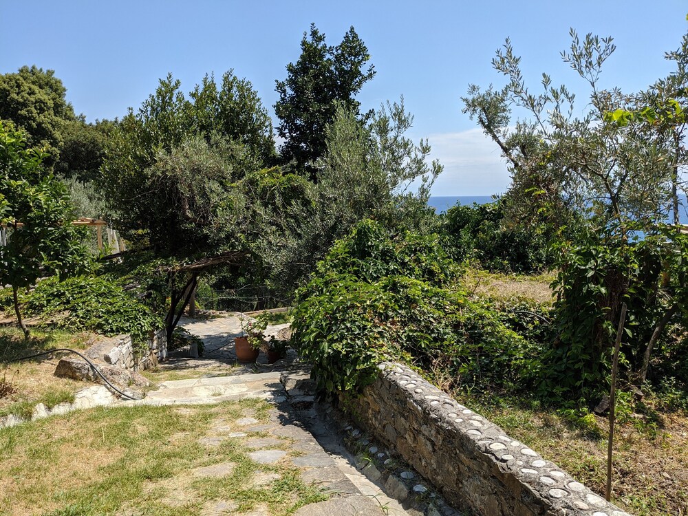 Photo 32