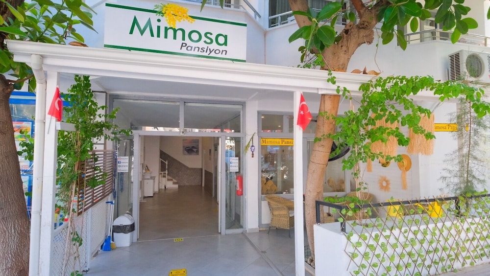 Mimosa Pension