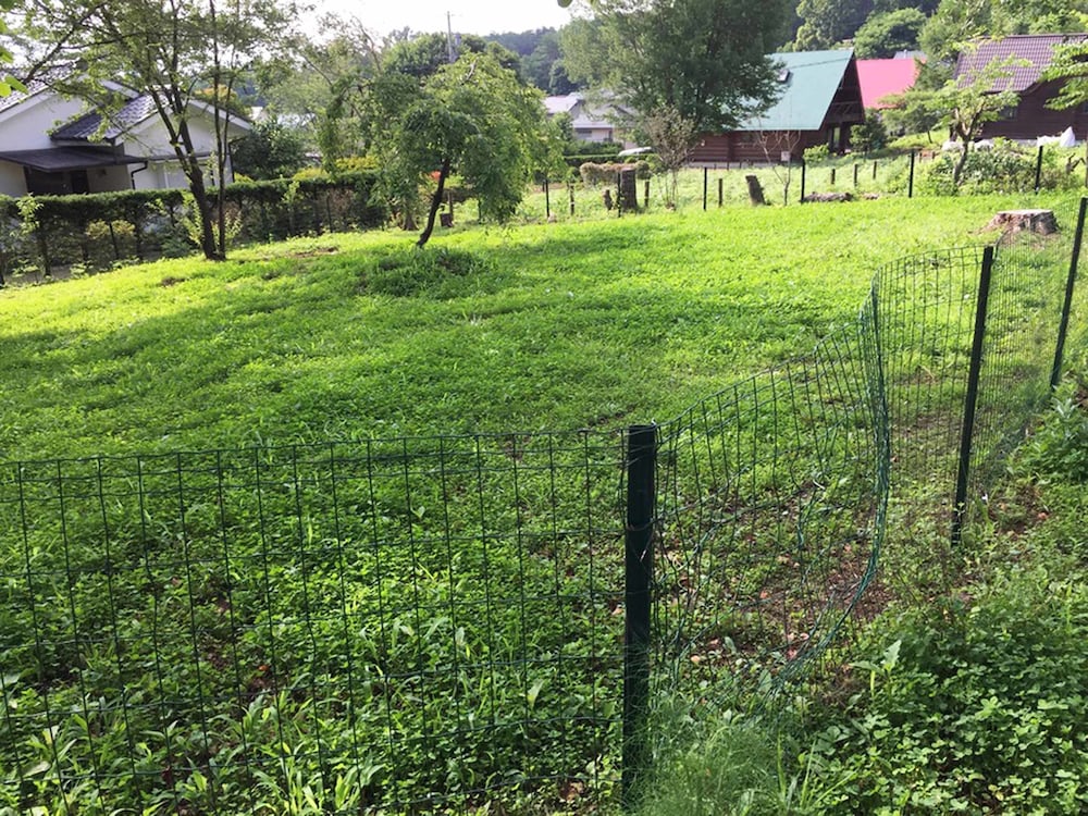 Pension KEYAKI