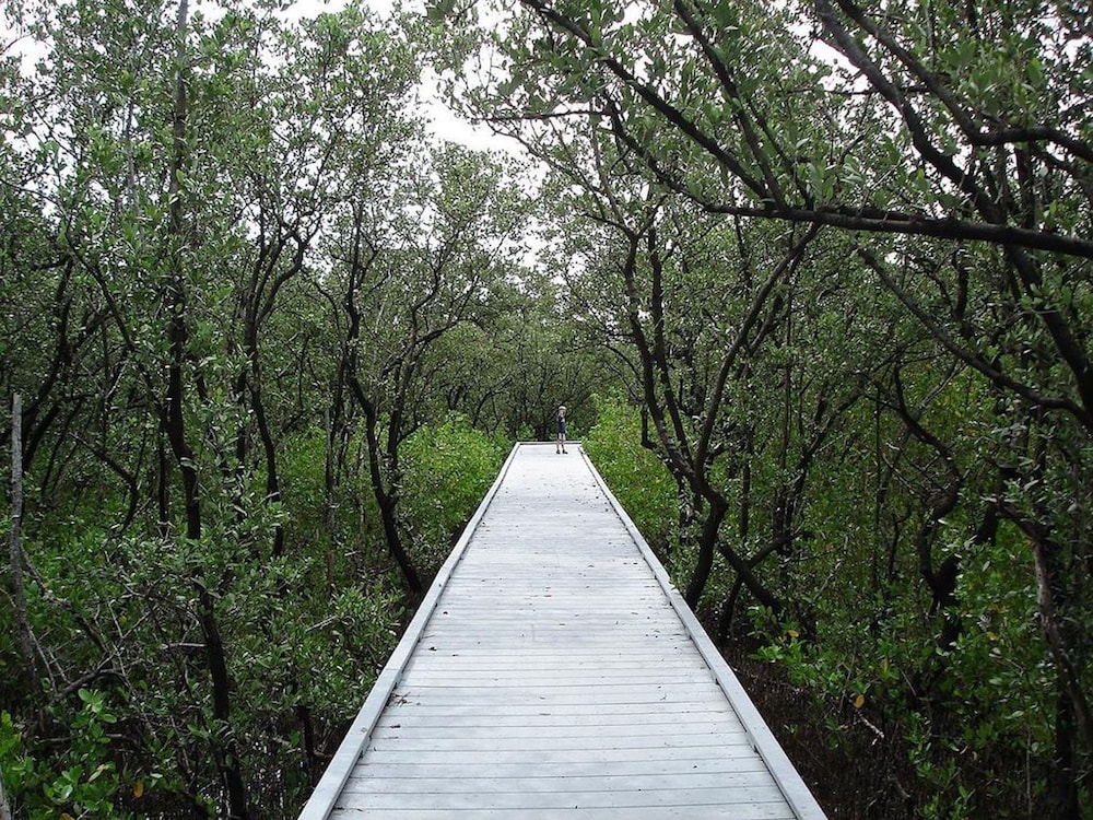 Tamiami On The Canal view 3