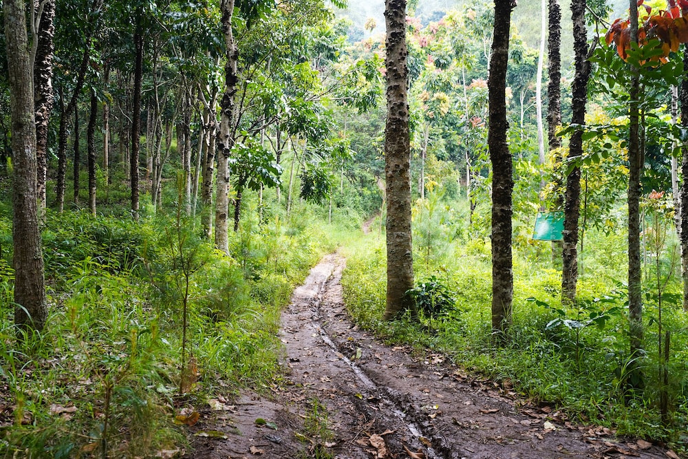 OYO Homes 91006 Eco Tourism Desa Cibodas Areng 5 Syariah