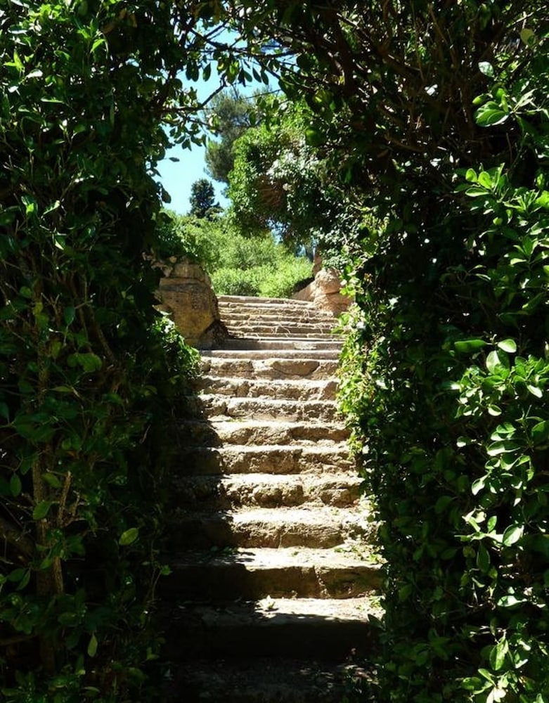 Photo 27