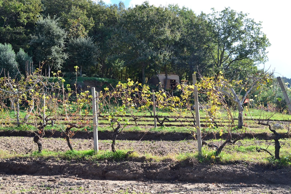 Borgo Rosso di Sera Resort Country Chic, Billede 84