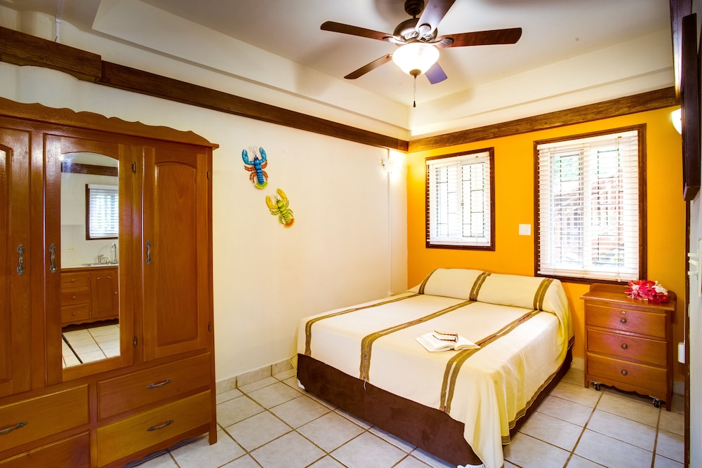 Buttonwood Belize