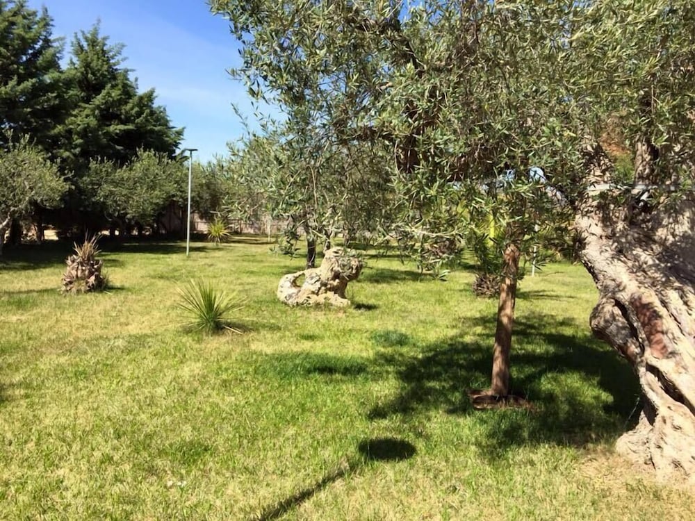 Photo 26