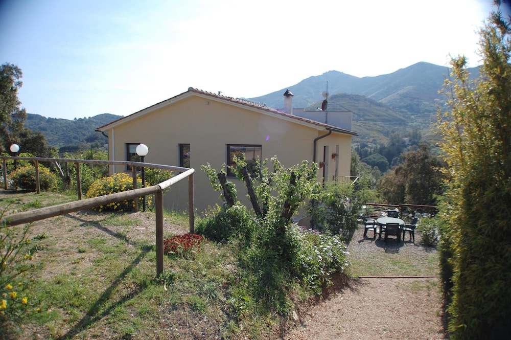 Photo 21