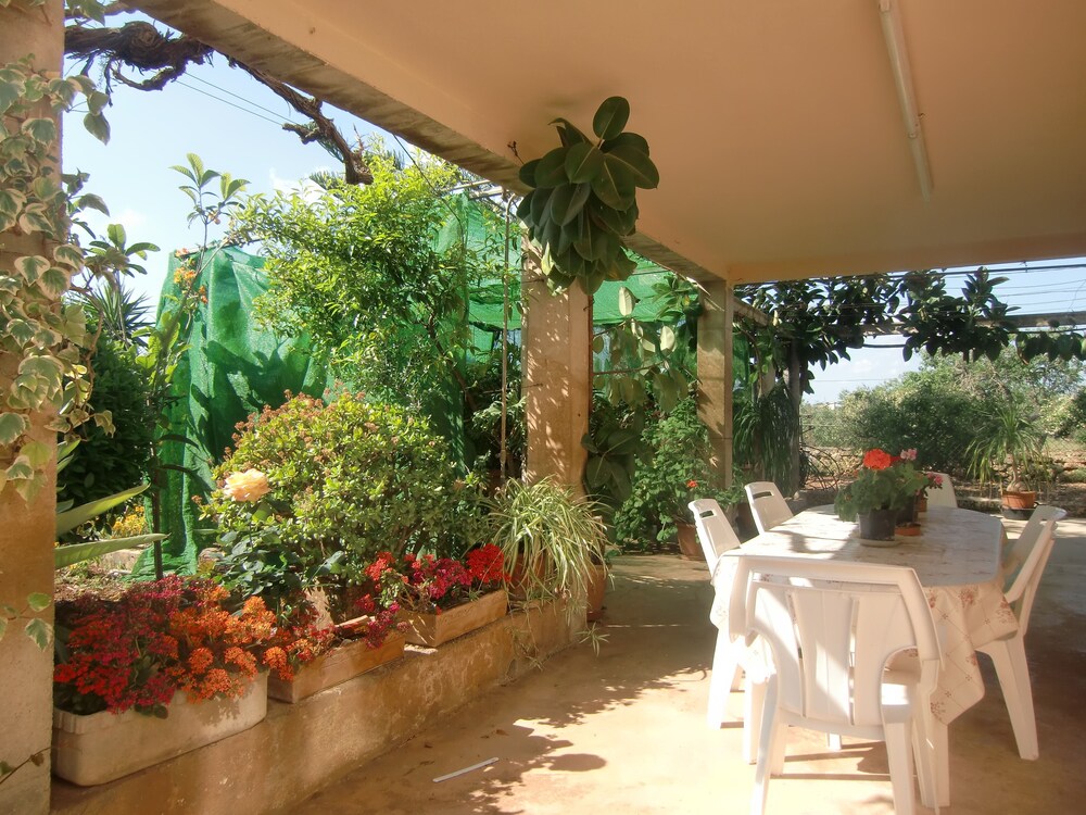 Photo 17