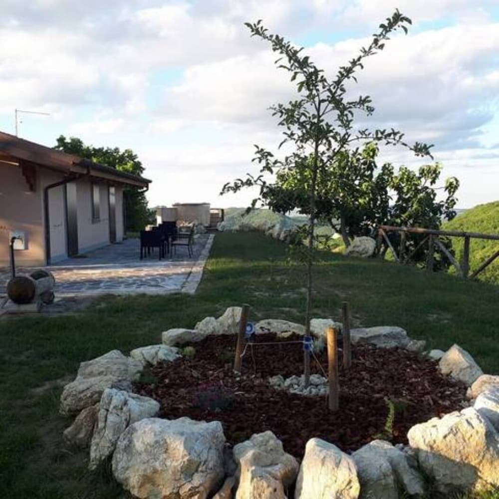 Photo 21
