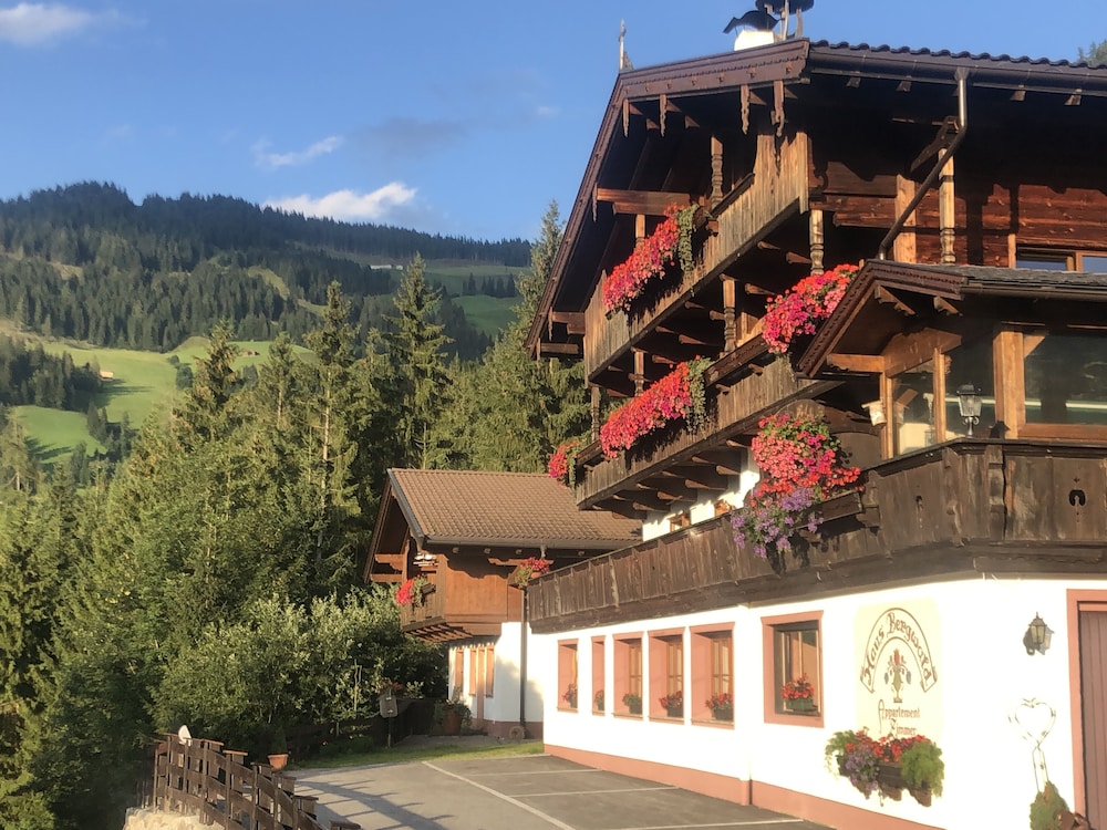 Alpbach Bergwald