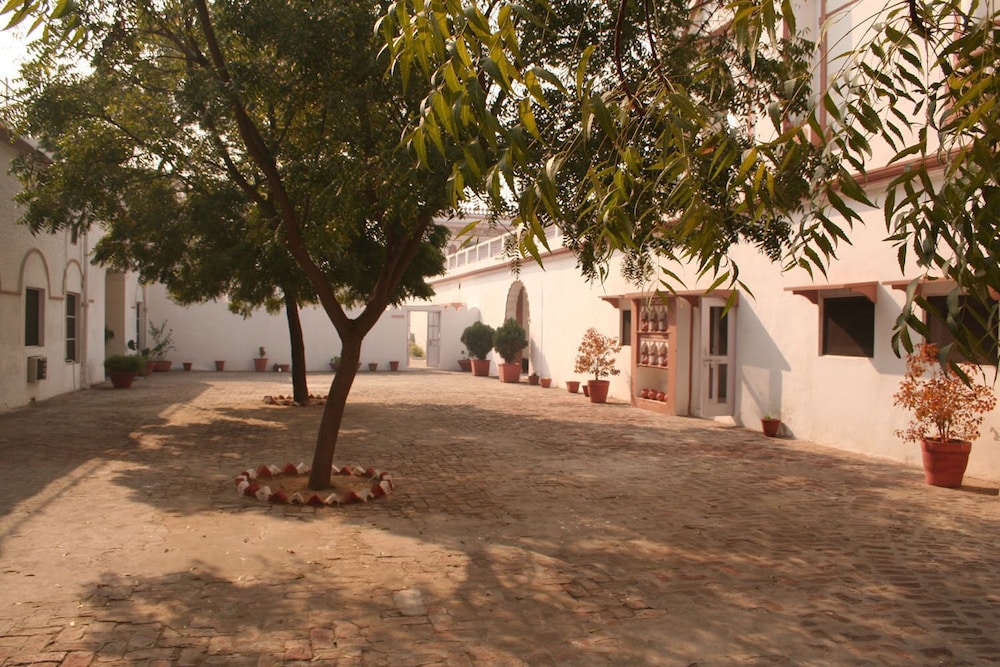 Photo 17