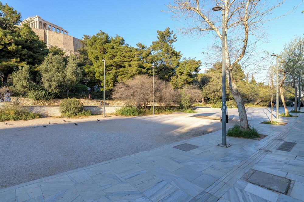 Acropolis Loom Suite