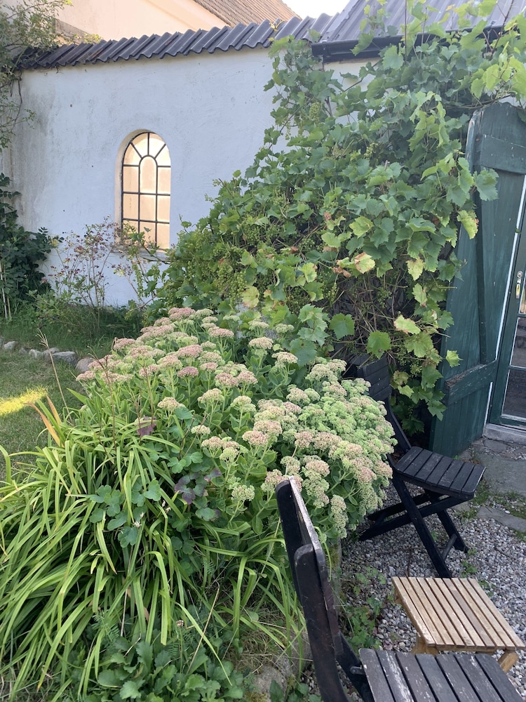Photo 30