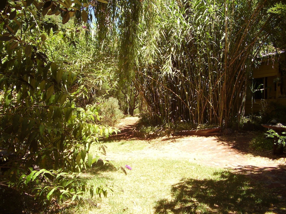The Black Cockatoo Nannup