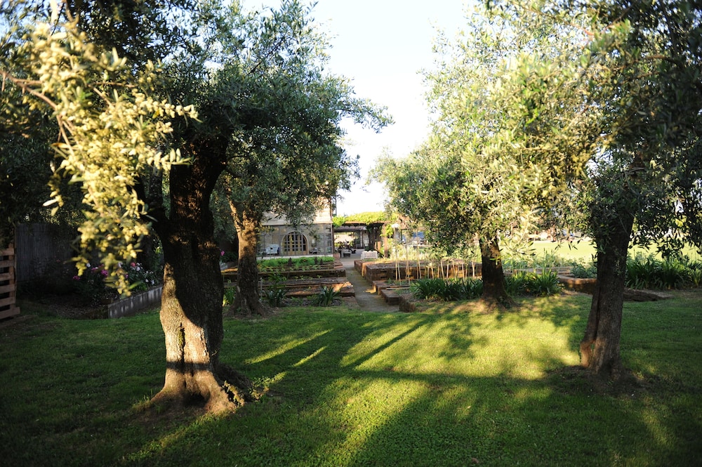 Olimagio