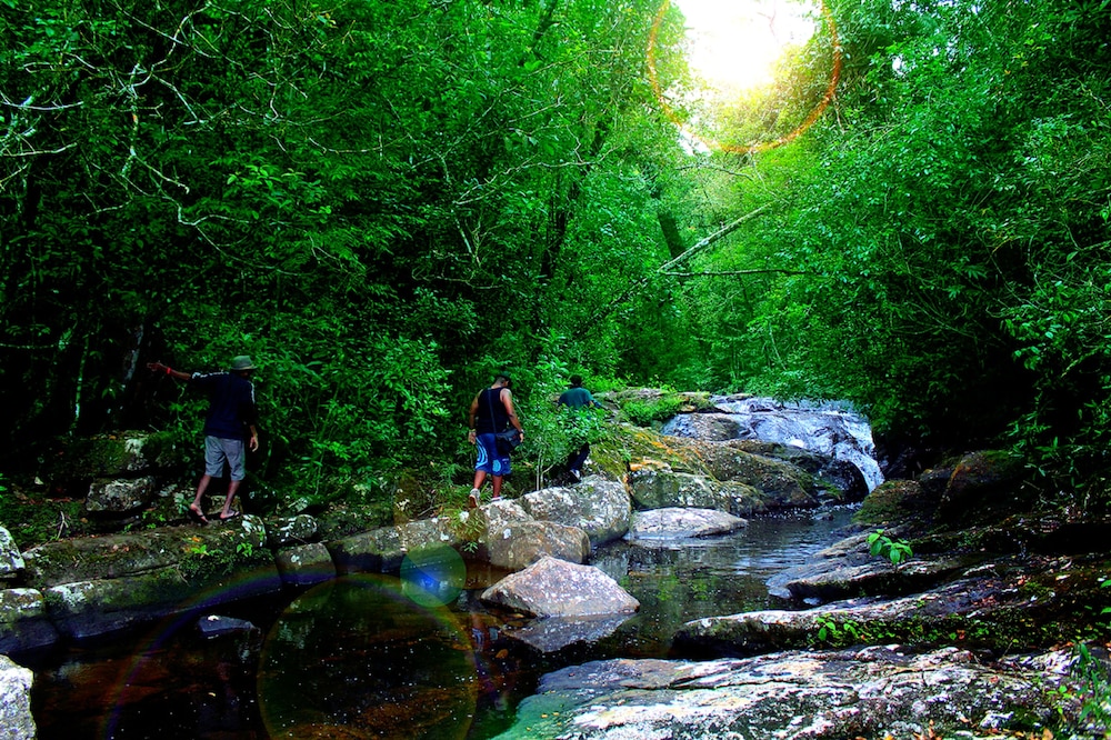 The Rainforest Ecolodge