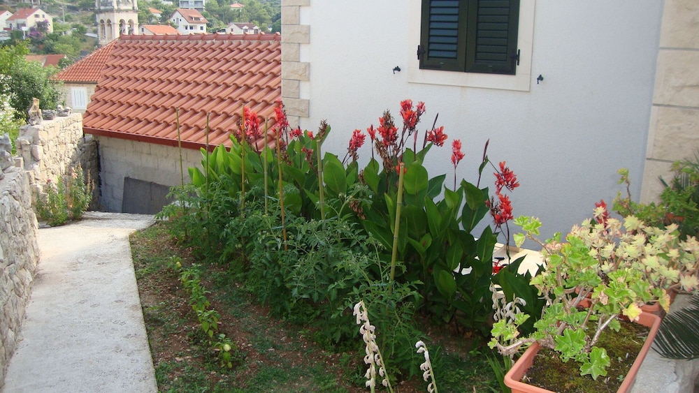 Photo 24